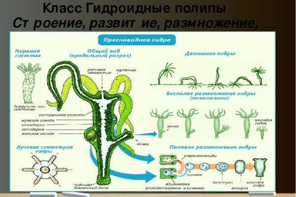 Кракен маркетплейс kr2web in площадка