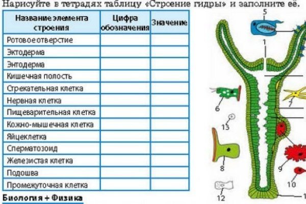 Как закинуть деньги на кракен