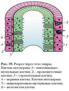 Реальная ссылка кракен