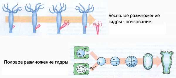 Кракен 17 вход